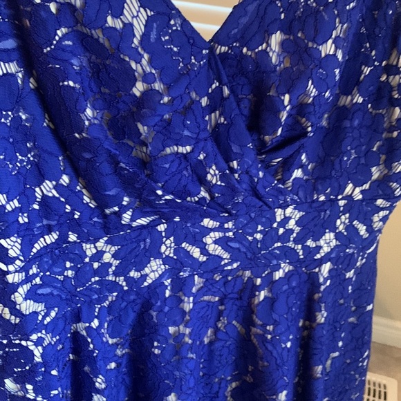 Eliza J Royal Blue Lace Fit & Flare Sleeveless Party Cocktail Line - Picture 14 of 17